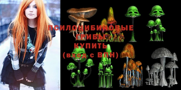 МДПВ Абдулино