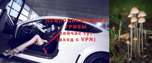 МДПВ Абдулино