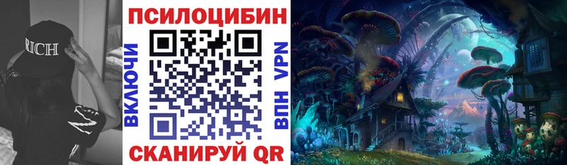 Псилоцибиновые грибы мицелий  купить наркоту  Южноуральск 