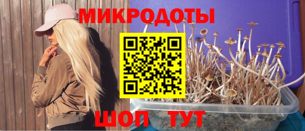 Псилоцибиновые грибы мухоморы Южноуральск