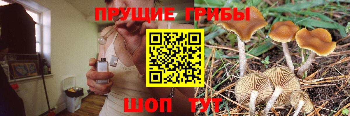 Псилоцибиновые грибы GOLDEN TEACHER  наркошоп  Псилоцибиновые грибы ЛСД  Южноуральск  Вход с VPN 