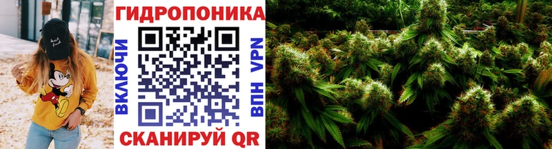 где купить наркотик  Южноуральск  МАРИХУАНА OG Kush 